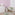 RB413 Daisy Field, kinderbehang madeliefjes, children's wallpaper daisies, Kindertapete Gänseblümchen, papier peint enfants marguerites