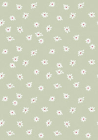 RB414 swatch-groen