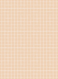 RB428 Gentle Grid TerraCotta Sample - behangpapier kinderkame