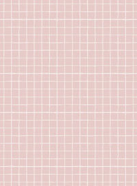RB429 Gentle Grid Framboos Sample- behangpapier kinderkame