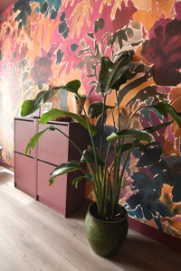 RB459_WH0092_Honey_Roze