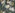 RB248-Greige