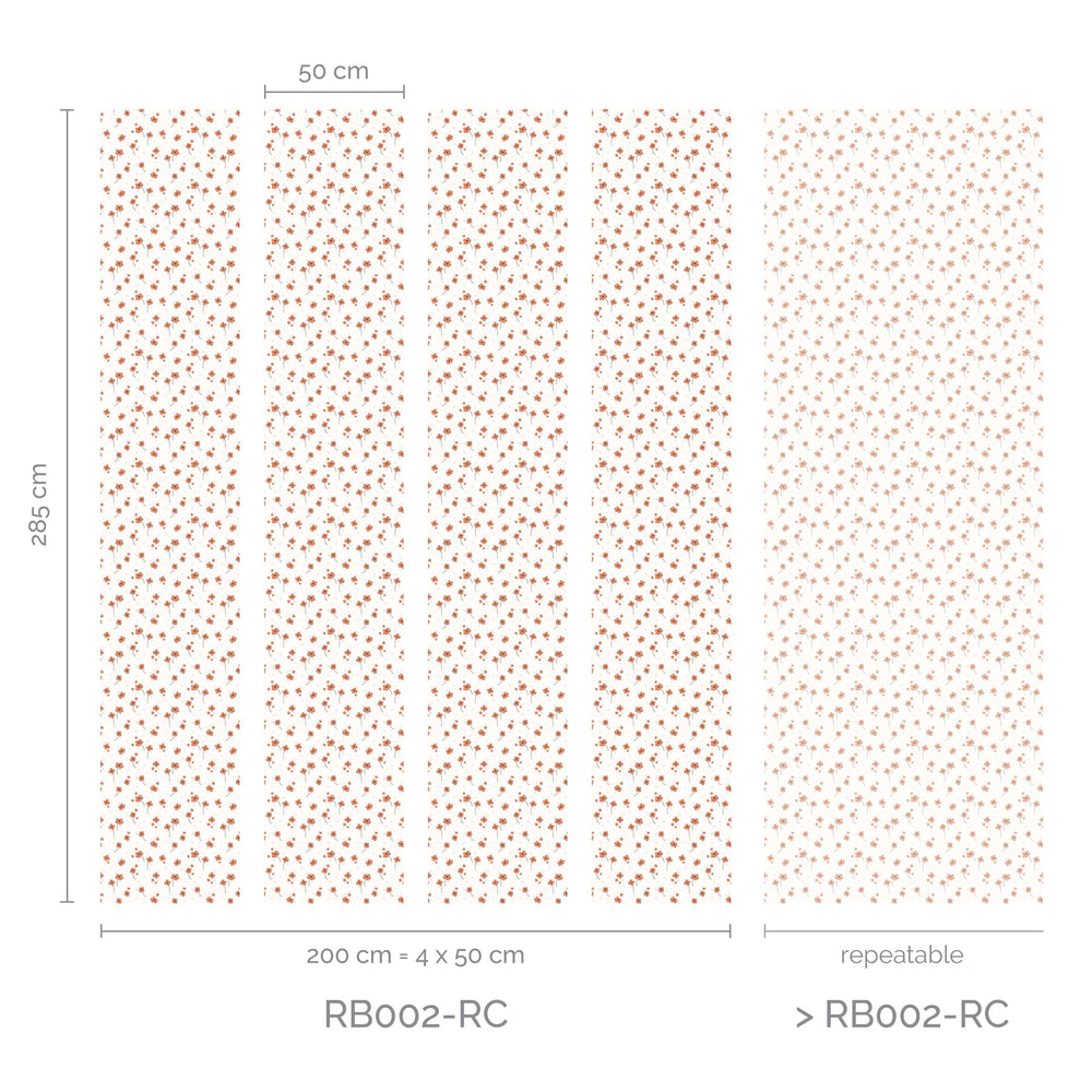 RB002-RC_Lanes