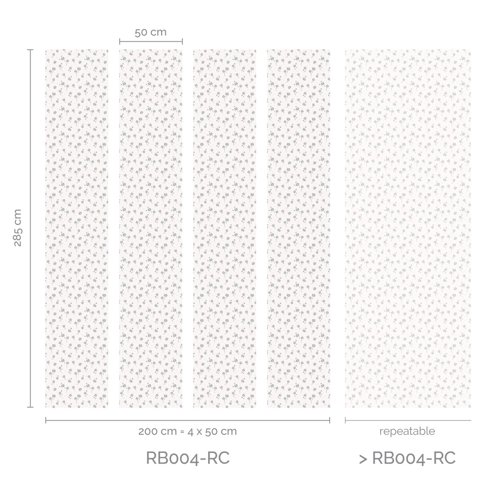 RB004-RC_Lanes
