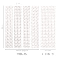 RB004-RC_Lanes