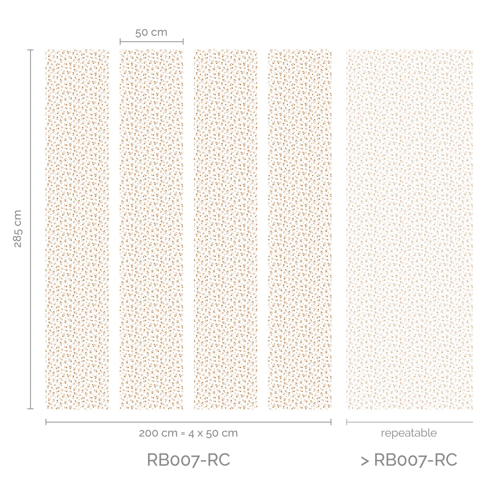 RB007-RC_Lanes