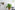 RB200 Behang Zostera green - roomblush