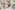 RB246 Behang Safari Bright - roomblush